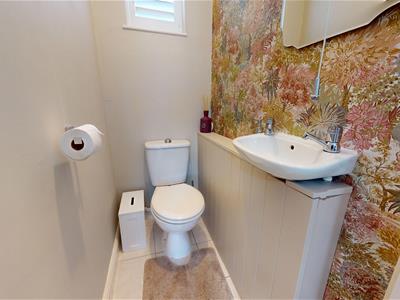 Picture 24